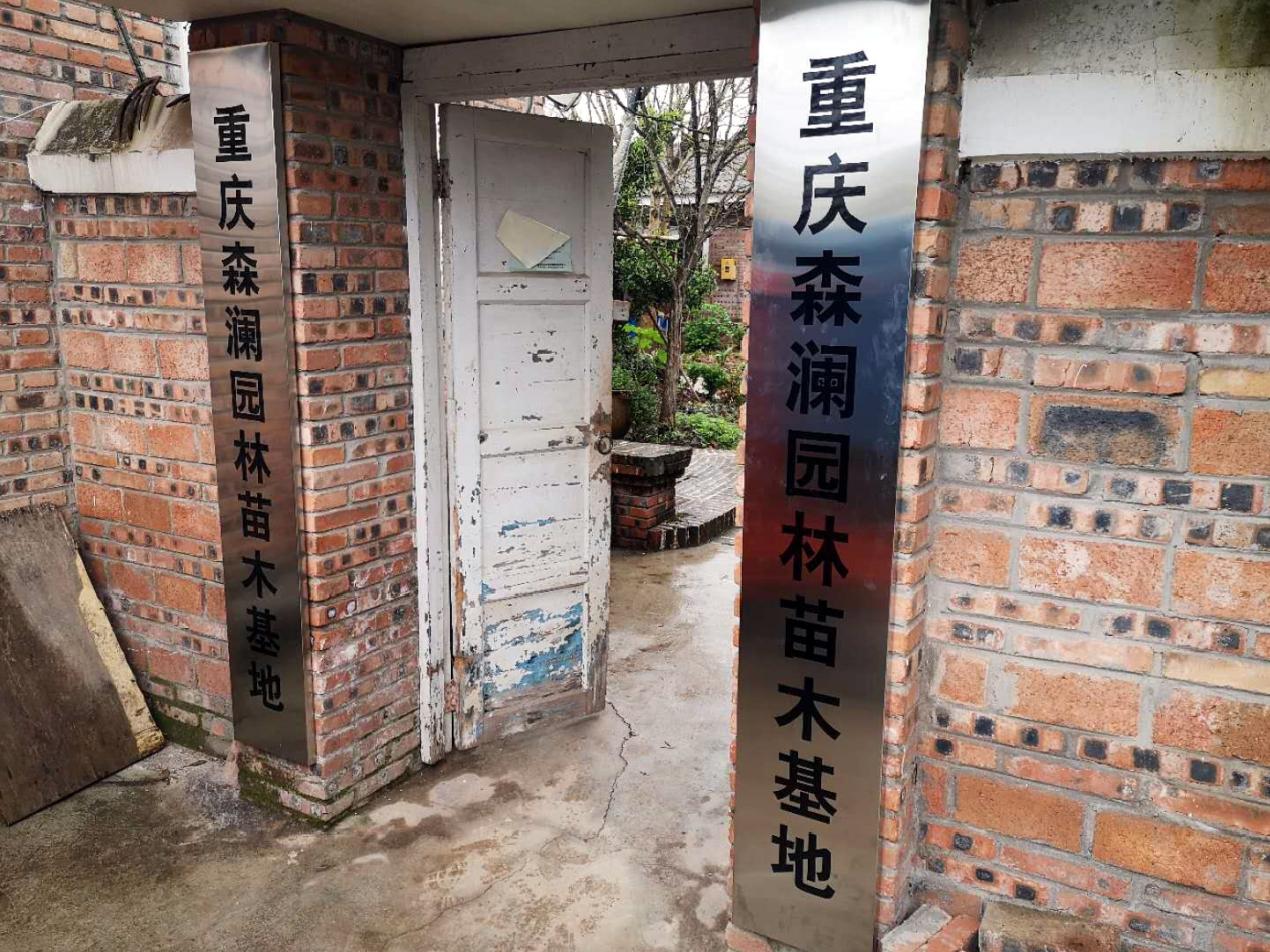 重慶森瀾園林苗圃基地